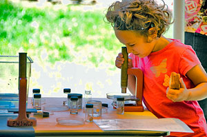 Taking a closer look at cool wetland bugs